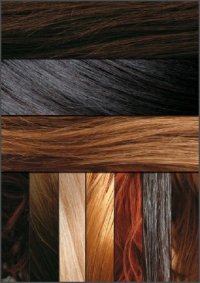 Текстуры волос (Hair Textures)
