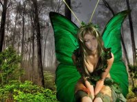 Шаблон Photoshop для фотографии – Бабочка