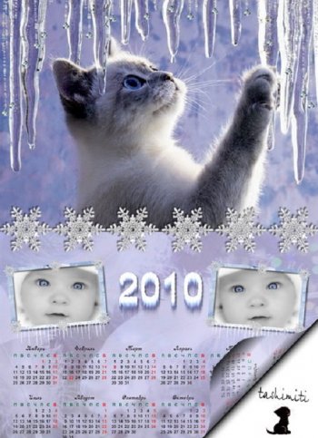 Шаблон календарь на 2010 год Kitten
